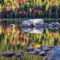 Color HM & Members Choice – Fall in Acadia by Darryl Neill
