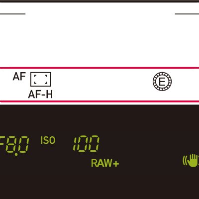 Smart Function Viewfinder Display (courtesy of https://us.ricoh-imaging.com/)