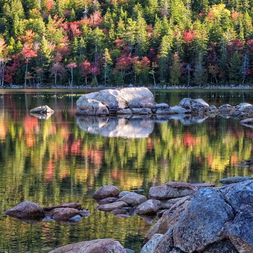 Reflecting in Acadia by Darryl Neill