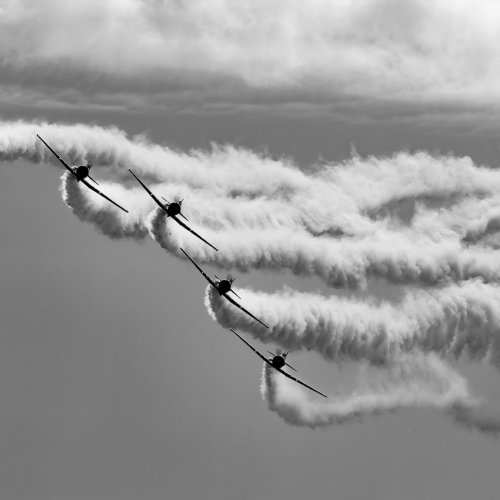 On a Wing by Michael Amos