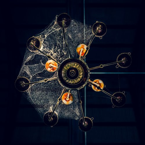 The Bright Web - The Dark Peace by Rohit Kamboj