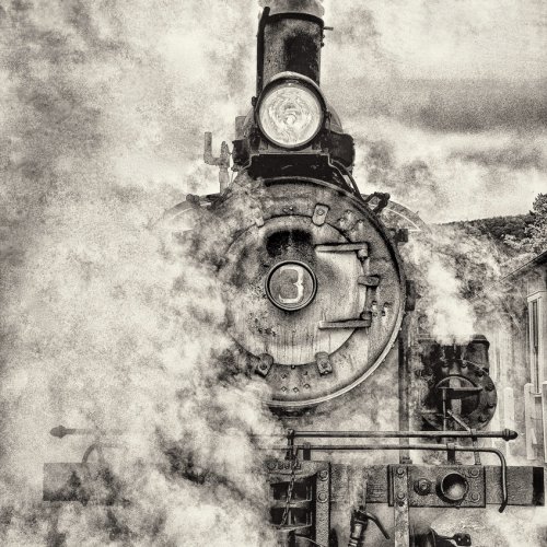 PEOPLE'S CHOICE - Last of the Climax Steam Engines by Jenn Cardinell