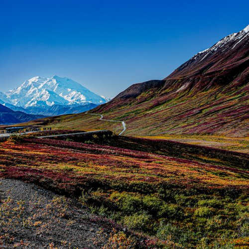 HM Color - Mount Denali View from Polychrome Valley by Stephen Mathera