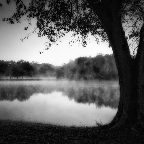Mono HM_Steamy Lake by Al McLeod