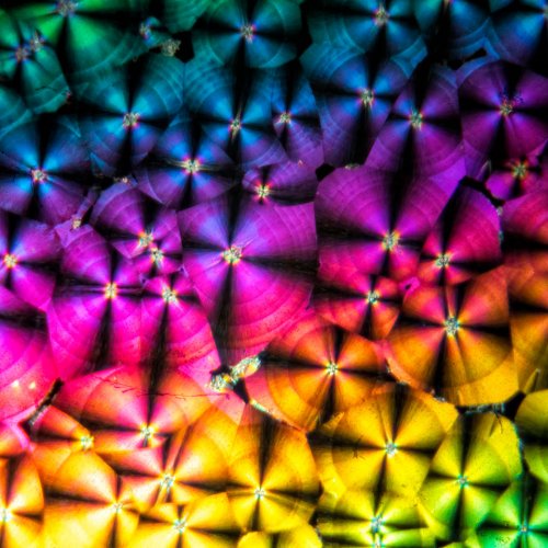 Color-HM-3rd-Under-the-Polarizing-Microscope-by-Darryl-Neill