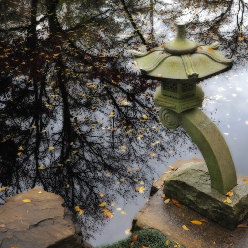 HM Digital - Gibbs Garden Reflection by Al McLeod