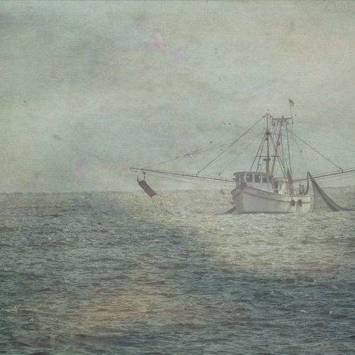 Color HM-Dora at Sea by Vivian Lynch