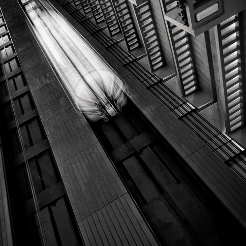 Mono Members Choice-Elevated by Michelle Simmons