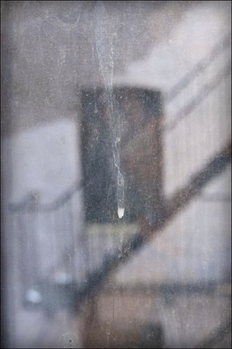 Color 1st Window  Dressing by Marc McElhaney