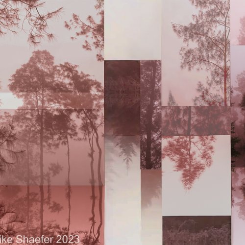 Mono HM Juxtaposed Perennials by Mike Shaefer