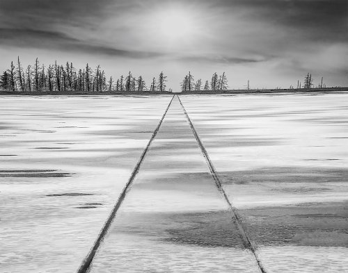 Mono 1st Cold Tracks by Mike Shaefer