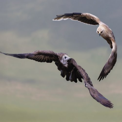 Color 2nd This is my Space by Mike Shaefer