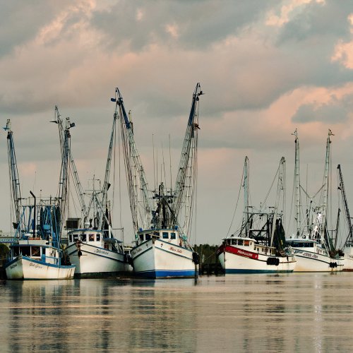 Color 3rd - Shrimp Boats in Darien GA by Michael Amos