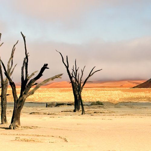 Color HM - Namibian Landscape by Mike Shaefer