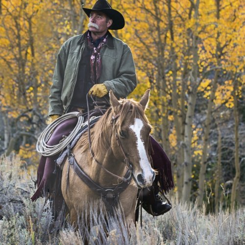 Color 2nd The Marlboro Man by Mike Shaefer