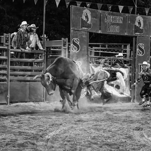 Mono 1st Momma Told Me by Darryl Neill