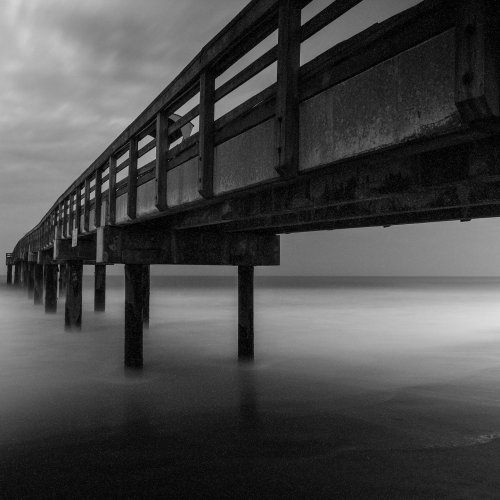 Mono 1st - Members Choice - UNDER ST. JOHNS PIER by Janerio Morgan