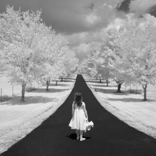 Mono 3rd Milas dream by Enrique